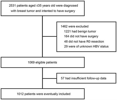 Prognostic Value of Hepatitis B Virus Infection in Very Young Patients With Curatively Resected Breast Cancer: Analyses From an <mark class="highlighted">Endemic Area</mark> in China
